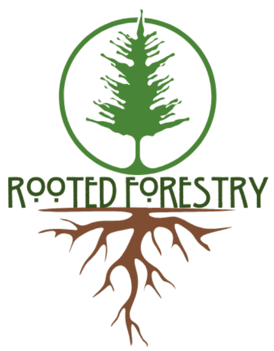 Rooted Forestry